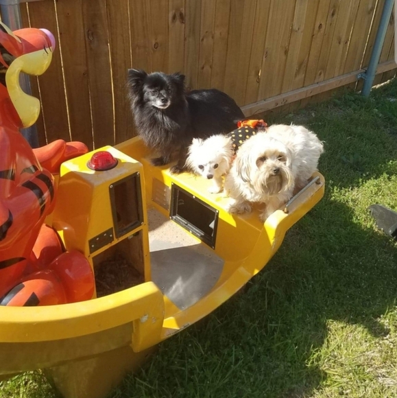 TRAVEL PILLOW - NEW Cush travel pillow Orange 🐶🐾 - Picture 3 of 7